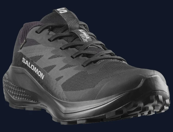 SALOMON - Women's Alphaglide GORE-TEX
Trail running shoes