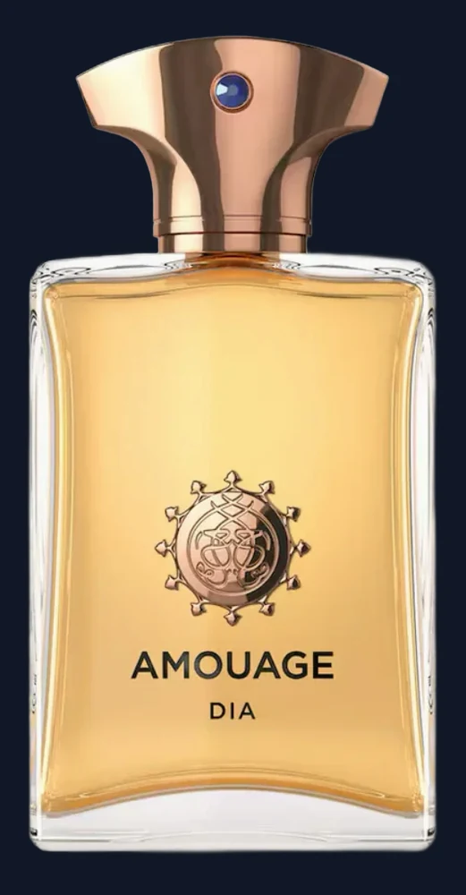 Amouage Dia Man 100ML EDP Spray (M)